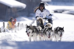 Lenk 2013